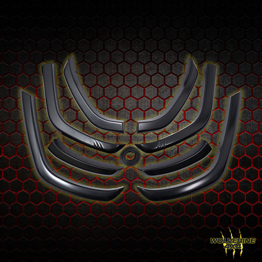 LAND CRUISER 300 SERIES FLARE KIT- WF300